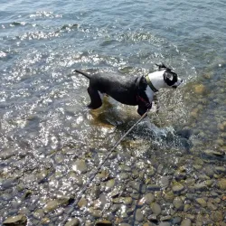 Milwaukie Riverfront Park - Milwaukie