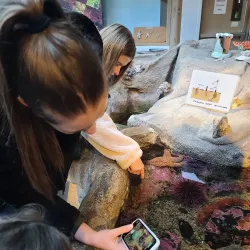 Hatfield Marine Science Center - Newport