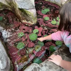 Hatfield Marine Science Center - Newport