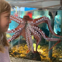 Hatfield Marine Science Center - Newport