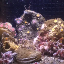 Hatfield Marine Science Center - Newport