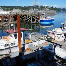 Newport Historic Bayfront - Newport