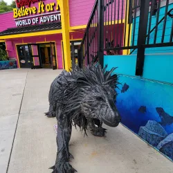 Newport Historic Bayfront - Newport