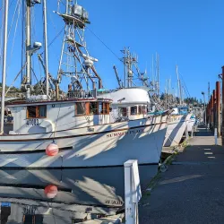 Newport Historic Bayfront - Newport