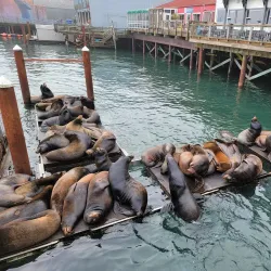 Newport Historic Bayfront - Newport
