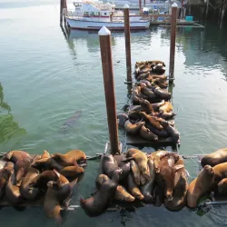 Newport Historic Bayfront - Newport