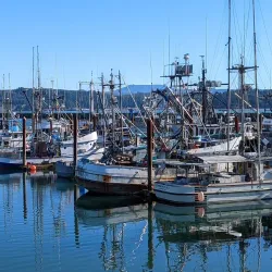 Newport Historic Bayfront - Newport