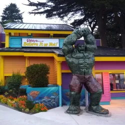 Newport Historic Bayfront - Newport