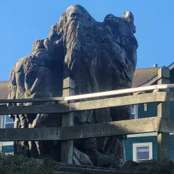 Newport Municipal Beach - Newport