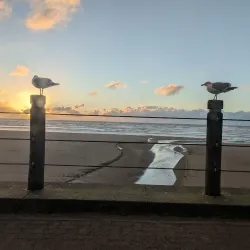 Newport Municipal Beach - Newport