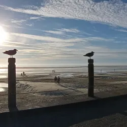 Newport Municipal Beach - Newport