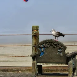 Newport Municipal Beach - Newport