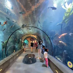 Oregon Coast Aquarium - Newport