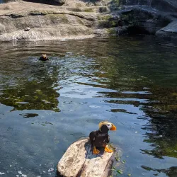 Oregon Coast Aquarium - Newport