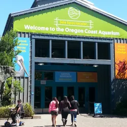 Oregon Coast Aquarium - Newport