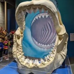 Oregon Coast Aquarium - Newport