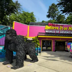 Ripley's Believe It or Not! Newport - Newport