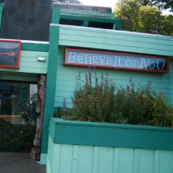 Ripley's Believe It or Not! Newport - Newport
