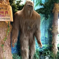 Ripley's Believe It or Not! Newport - Newport