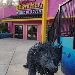 Ripley's Believe It or Not! Newport - Newport