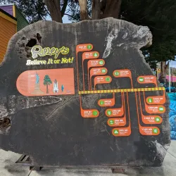 Ripley's Believe It or Not! Newport - Newport