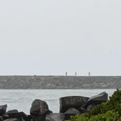 South Beach State Park - Newport