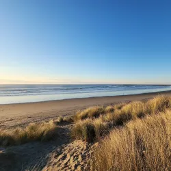 South Beach State Park - Newport