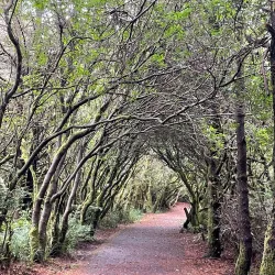 South Beach State Park - Newport