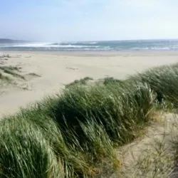 South Beach State Park - Newport