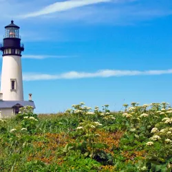 Yaquina Head Outstanding Natural Area - Newport