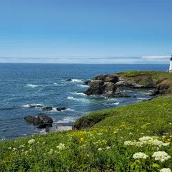 Yaquina Head Outstanding Natural Area - Newport