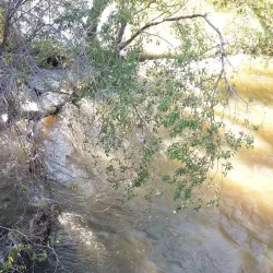 McKay Park - Pendleton