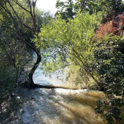 McKay Park - Pendleton