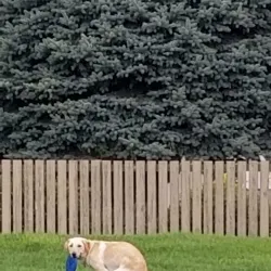 McKay Park - Pendleton