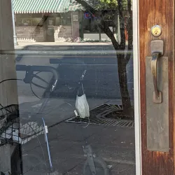 Pendleton Historic Downtown - Pendleton