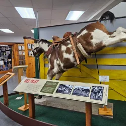 Pendleton Round-Up and Happy Canyon Hall of Fame - Pendleton