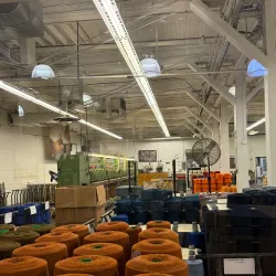 Pendleton Woolen Mills - Pendleton