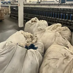 Pendleton Woolen Mills - Pendleton