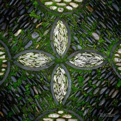 Lan Su Chinese Garden - Portland