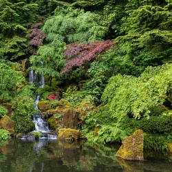 Portland Japanese Garden - Portland