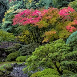 Portland Japanese Garden - Portland