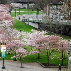 Tom McCall Waterfront Park - Portland