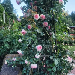 Washington Park - Portland