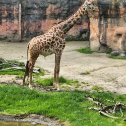 Washington Park - Portland