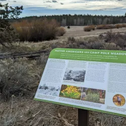 Camp Polk Meadow Preserve - Prineville