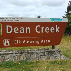 Dean Creek Elk Viewing Area - Reedsport