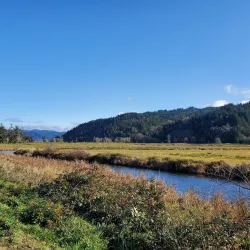 Dean Creek Trail - Reedsport
