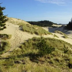 Oregon Dunes National Recreation Area - Reedsport