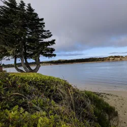 Oregon Dunes National Recreation Area - Reedsport
