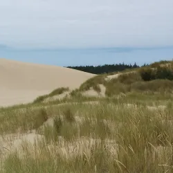Oregon Dunes National Recreation Area - Reedsport